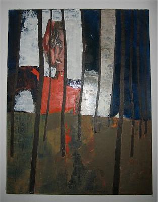 figura (13)